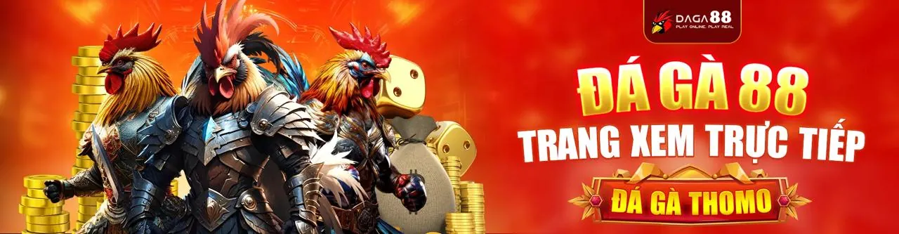 Đấu gà kịch tính tại Win678 link mới